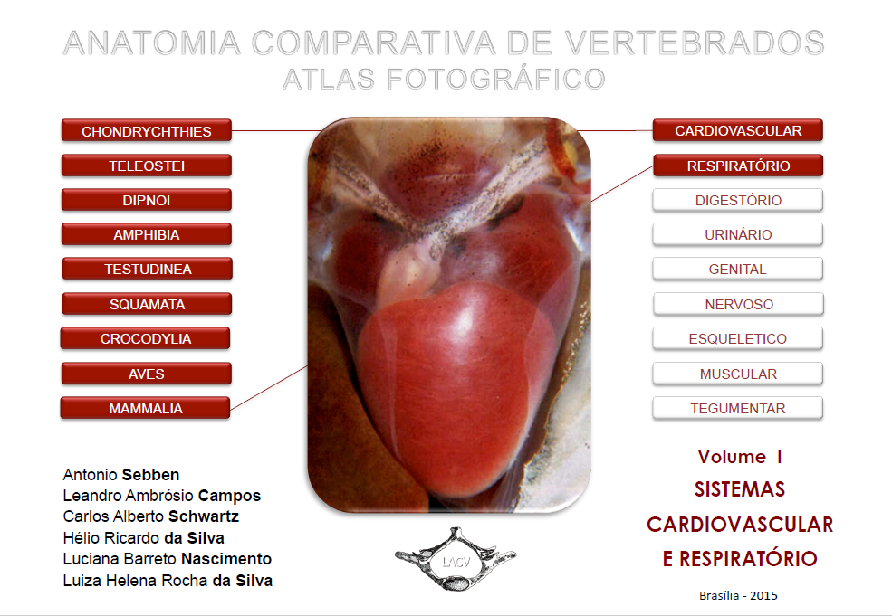 Capa para Anatomia comparativa de vertebrados: atlas fotográfico