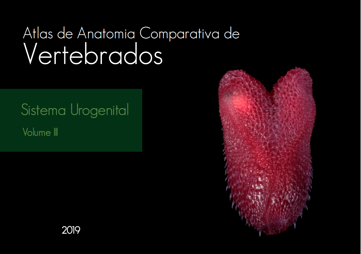 Capa para Atlas de anatomia comparada de vertebrados : sistema urogenital